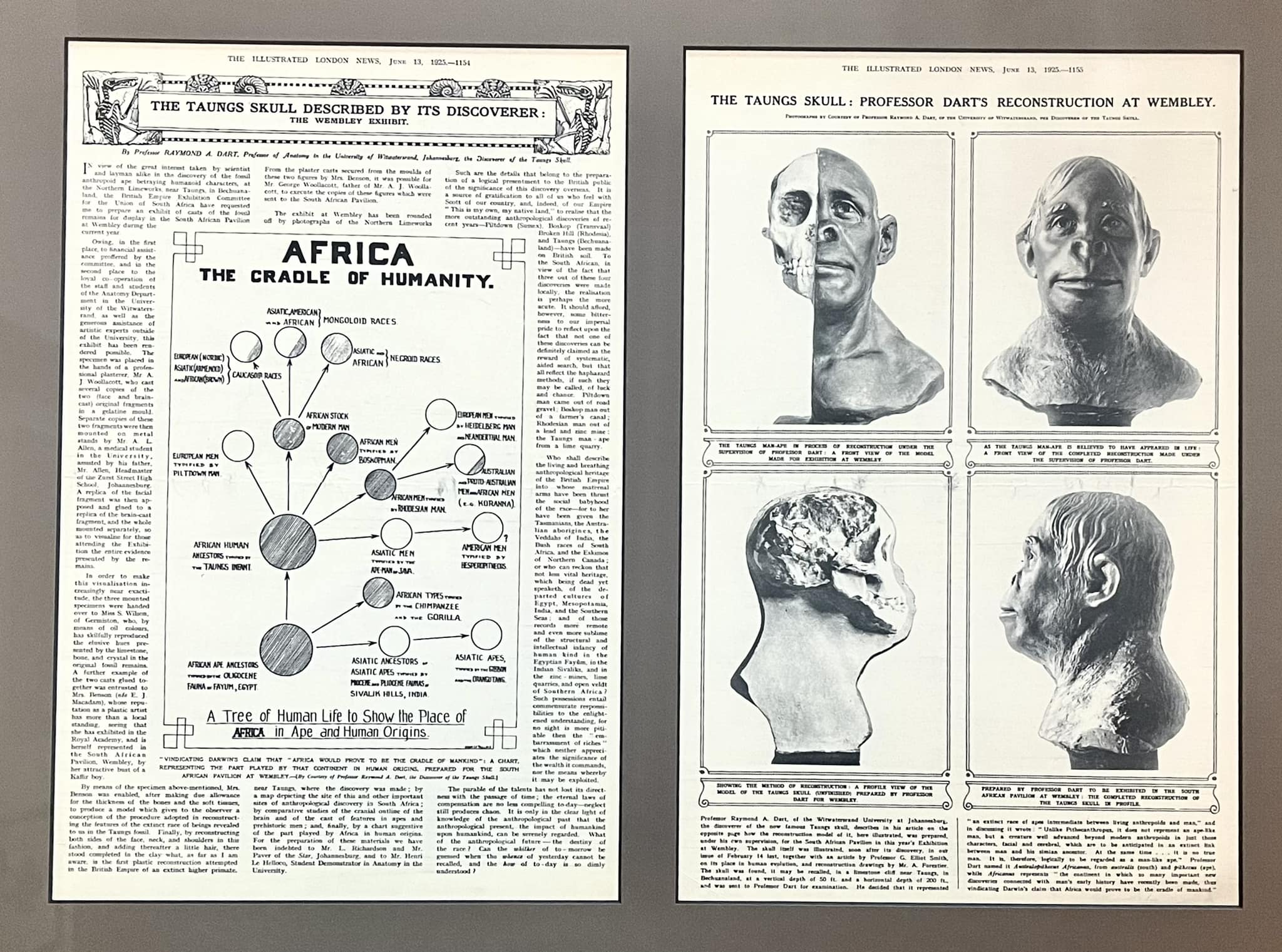 Reconstruction of the Taung child